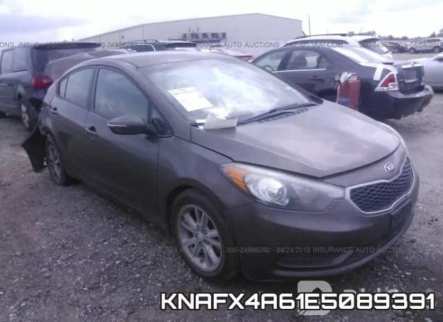 KNAFX4A61E5089391