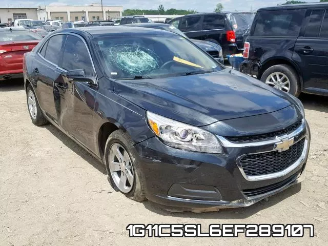 1G11C5SL6EF289107