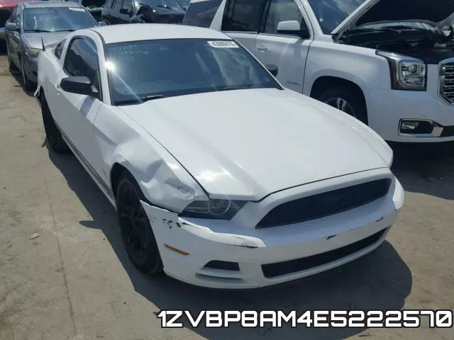 1ZVBP8AM4E5222570