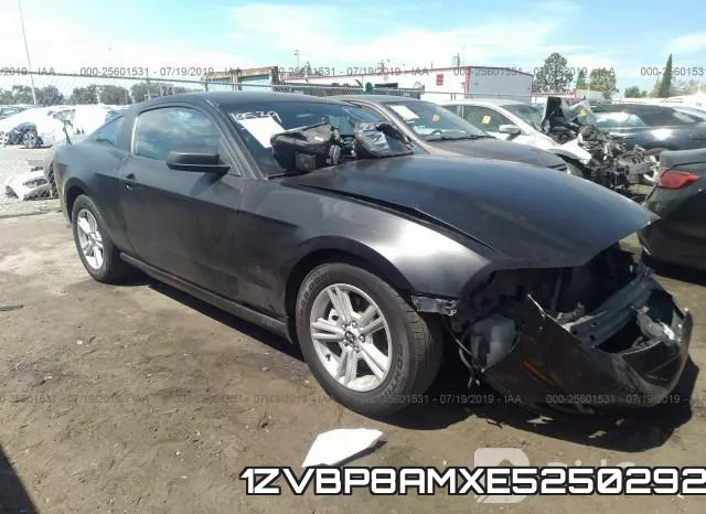 1ZVBP8AMXE5250292