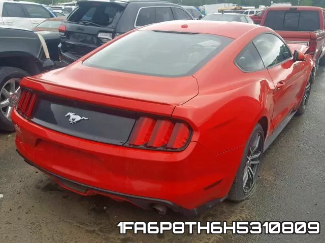 1FA6P8TH6H5310809_4.webp