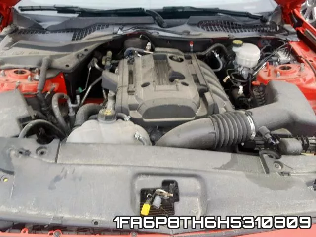 1FA6P8TH6H5310809_7.webp