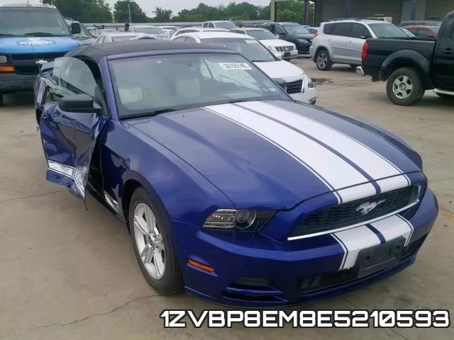 1ZVBP8EM8E5210593