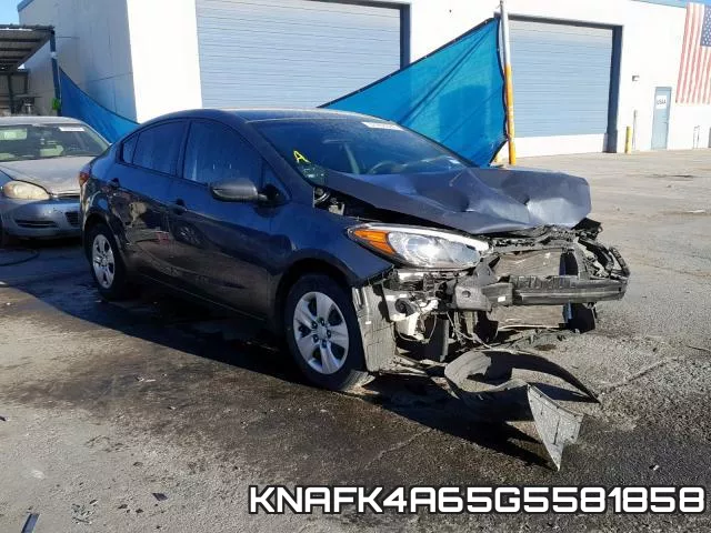 KNAFK4A65G5581858