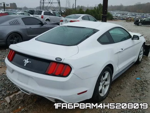 1FA6P8AM4H5208019_4.webp