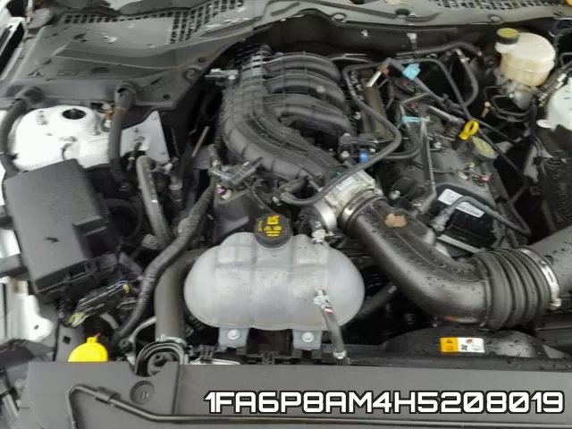1FA6P8AM4H5208019