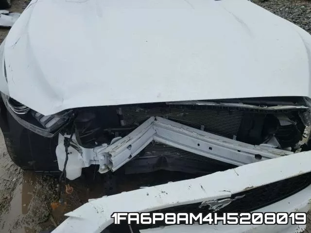 1FA6P8AM4H5208019_9.webp