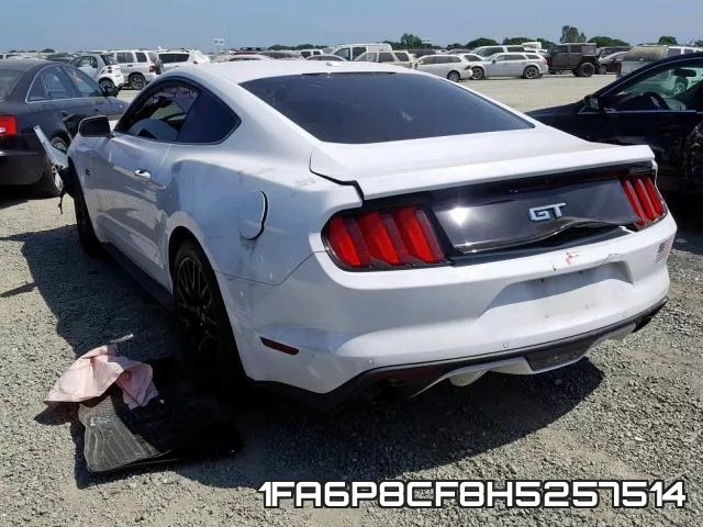1FA6P8CF8H5257514_3.webp