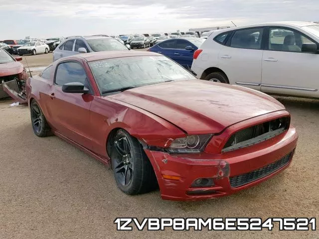 1ZVBP8AM6E5247521