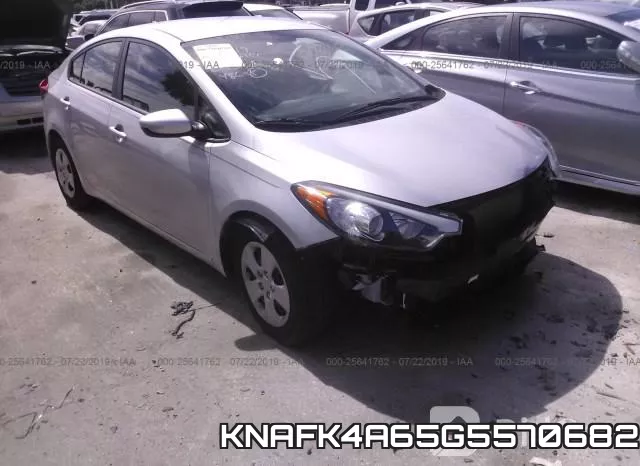 KNAFK4A65G5570682