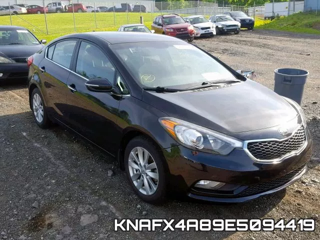 KNAFX4A89E5094419