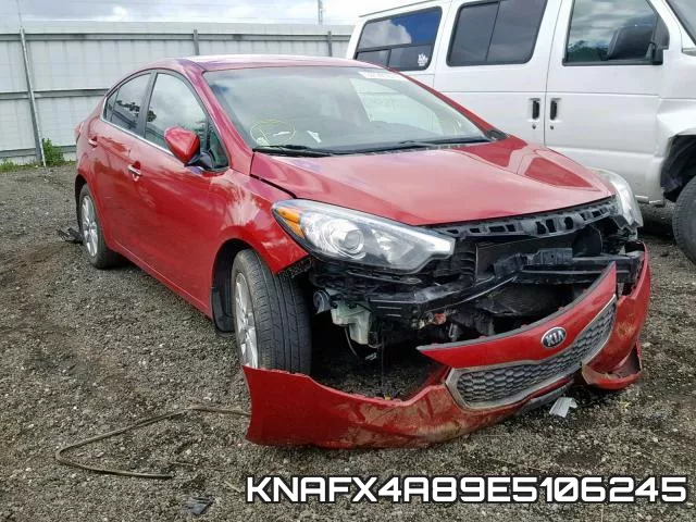 KNAFX4A89E5106245