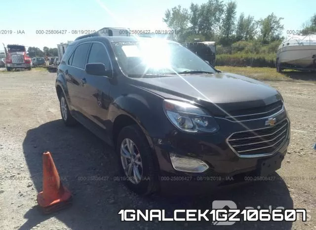 1GNALCEK1GZ106607