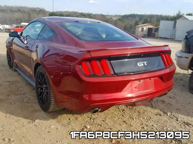 1FA6P8CF3H5213095_3.webp