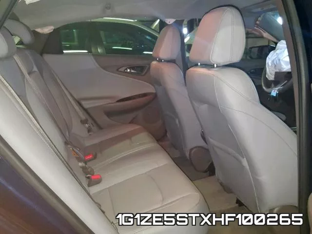 1G1ZE5STXHF100265_6.webp
