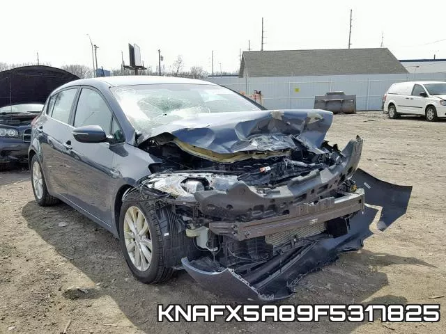 KNAFX5A89F5317825