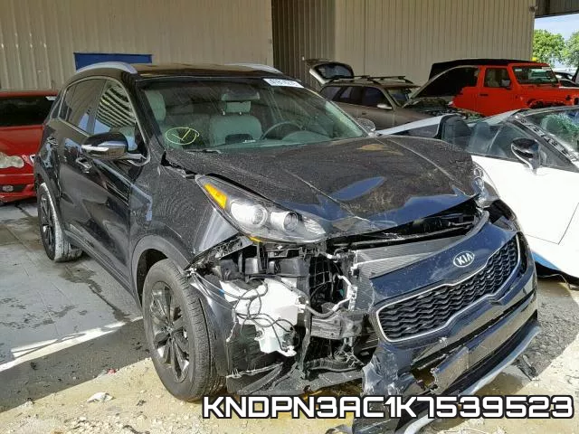 KNDPN3AC1K7539523_1.webp