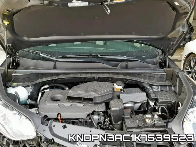 KNDPN3AC1K7539523_7.webp