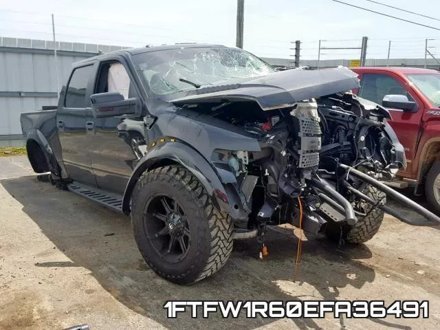 1FTFW1R60EFA36491