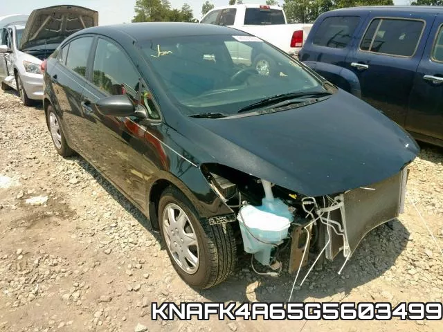 KNAFK4A65G5603499