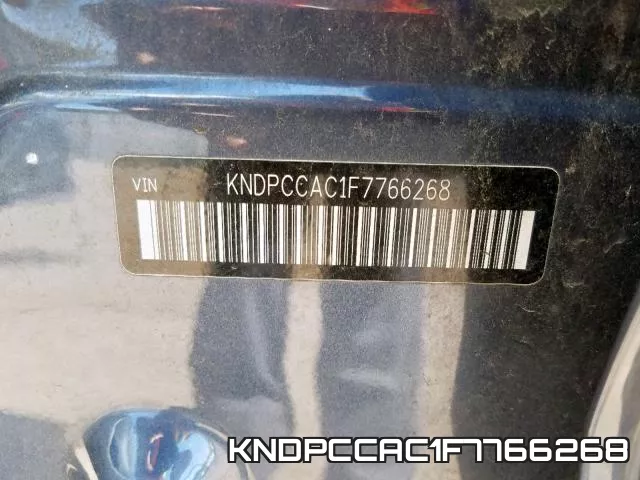 KNDPCCAC1F7766268_10.webp