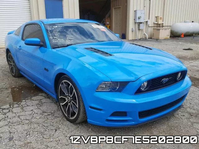 1ZVBP8CF7E5202800