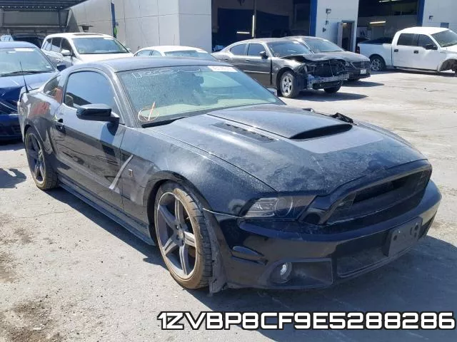 1ZVBP8CF9E5288286