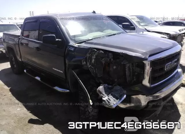 3GTP1UEC4EG136687