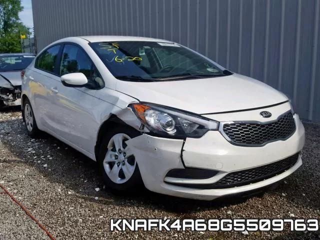 KNAFK4A68G5509763