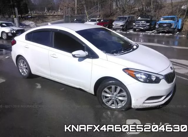 KNAFX4A60E5204630