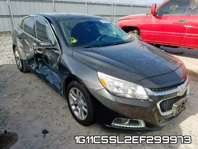 1G11C5SL2EF299973