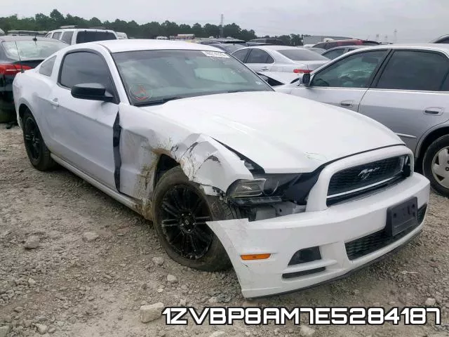 1ZVBP8AM7E5284187