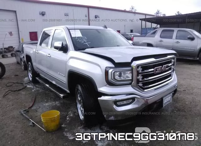 3GTP1NEC9GG310178