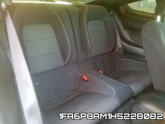 1FA6P8AM1H5228082