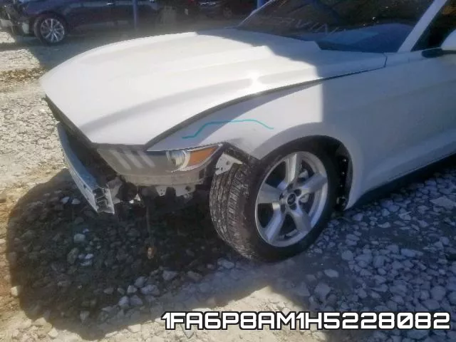 1FA6P8AM1H5228082_9.webp