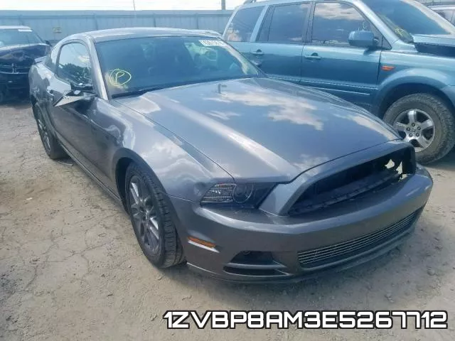 1ZVBP8AM3E5267712