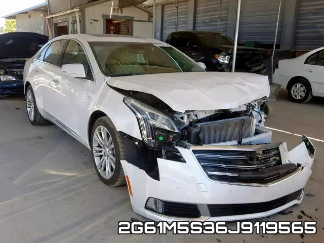 2G61M5S36J9119565_1.webp