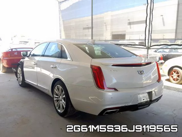 2G61M5S36J9119565_3.webp