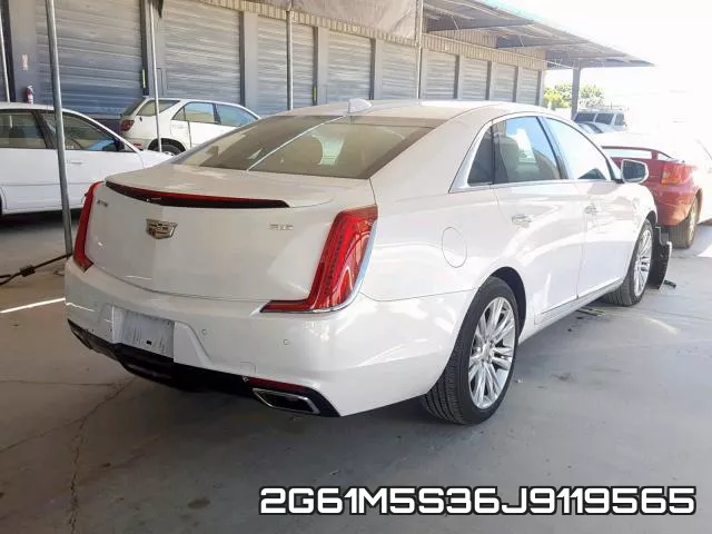 2G61M5S36J9119565_4.webp