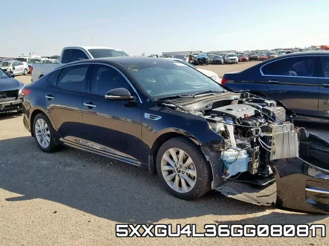 5XXGU4L36GG080817