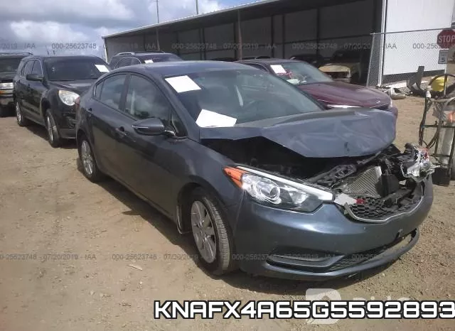 KNAFX4A65G5592893