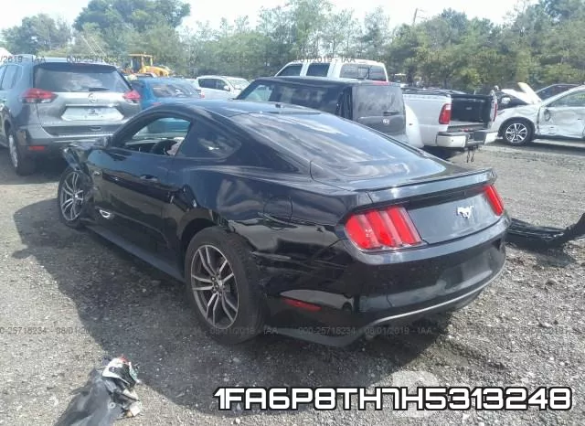 1FA6P8TH7H5313248_3.webp