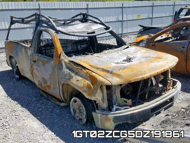 1GT02ZCG5DZ191861