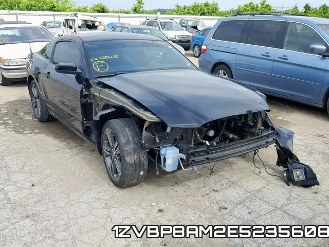 1ZVBP8AM2E5235608