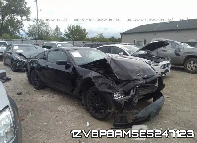 1ZVBP8AM5E5247123