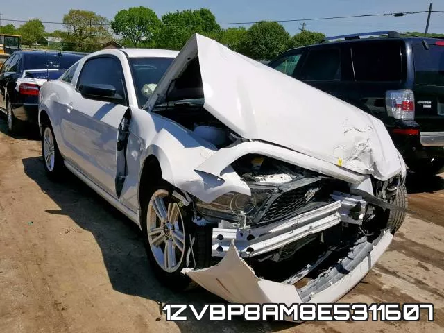 1ZVBP8AM8E5311607