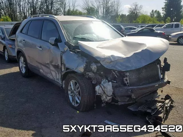 5XYKT3A65EG434520