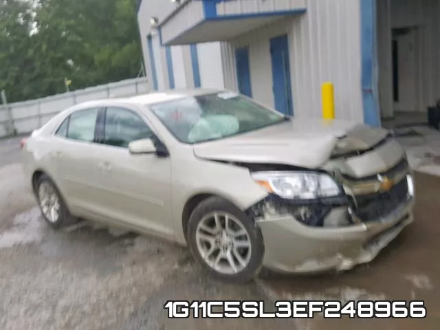 1G11C5SL3EF248966
