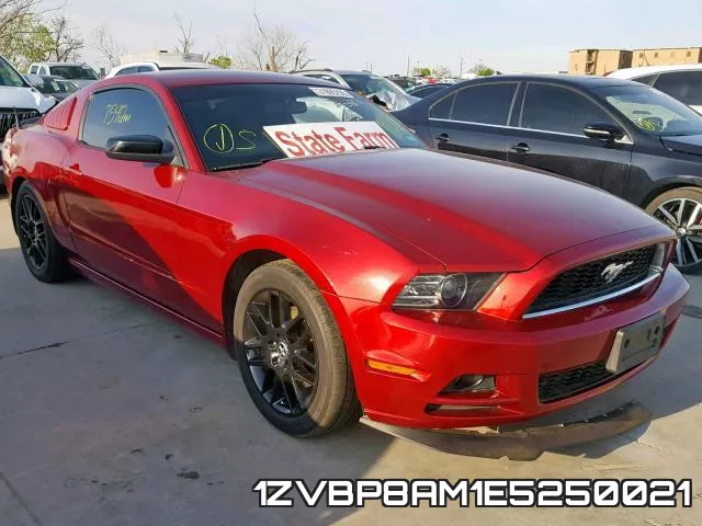 1ZVBP8AM1E5250021