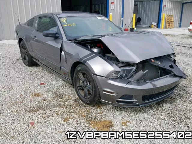 1ZVBP8AM5E5255402